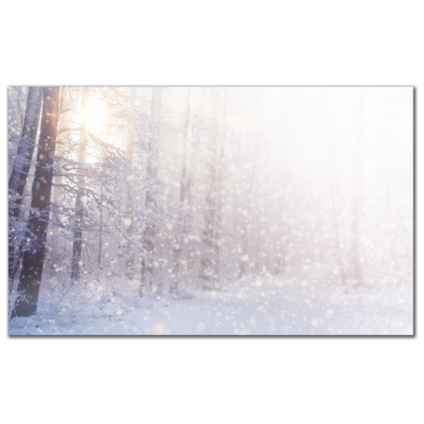 Grußkarten Winter im Wald (WJXLJDKYWJ)